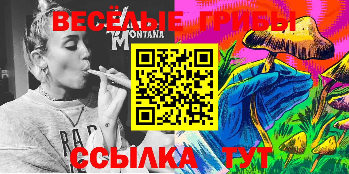 Галлюциногенные грибы Cubensis Клинцы